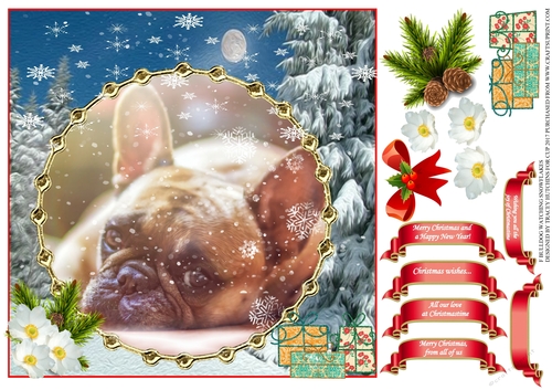FRENCH BULLDOG WATCHING SNOWFLAKES MULTI SENTIMENT UNISEX CHRISTMAS