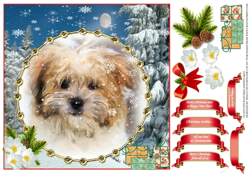 SHIHTZU WATCHING SNOWFLAKES MULTI SENTIMENT UNISEX CHRISTMAS