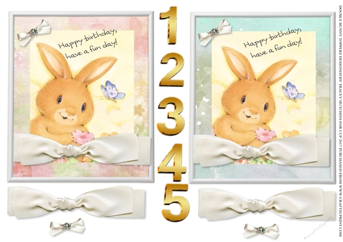 BUNNY TOPPERS X 2 BIRTHDAY