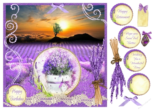 LAVENDER GET WELL BIRTHDAY RETIREMENT MULTI SENTIMENT