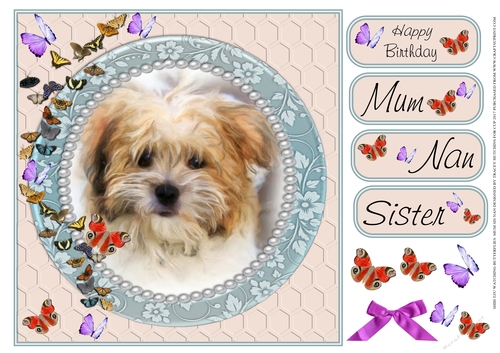SHIHTZU WATCHING BUTTERFLIES MUM NAN SISTER BIRTHDAY 