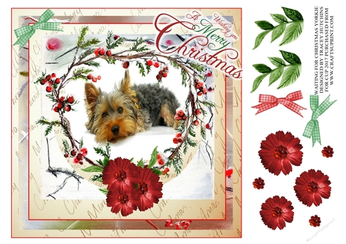 WAITING FOR CHRISTMAS YORKIE