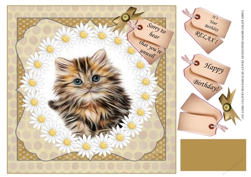TABBY KITTEN GET WELL / BIRTHDAY 2