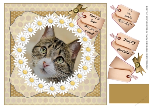 TABBY CAT GET WELL / BIRTHDAY 