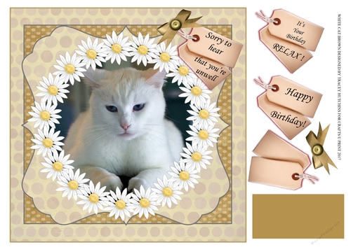 WHITE CAT GET WELL / BIRTHDAY 