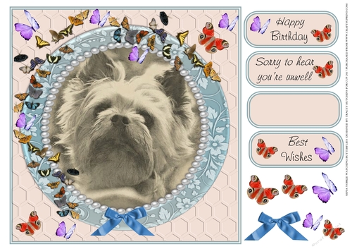 SEPIA YORKIE WATCHING BUTTERFLIES MULTI SENTIMENT GET WELL BIRTHDAY BEST WISHES