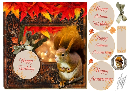 AUTUMN ANNIVERSARY / BIRTHDAY