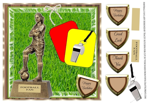 FEMALE FOOTBALL FAN BIRTHDAY GOOD LUCK THANK YOU