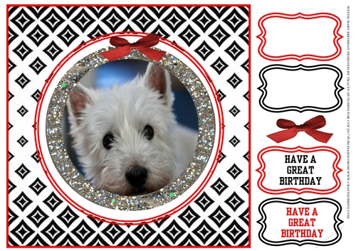 WESTIE BABY BIRTHDAY
