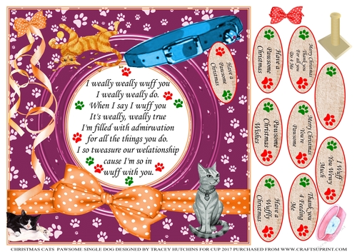 PAWSOME CAT A FUNNY VERSE CARD FROM THE CAT 