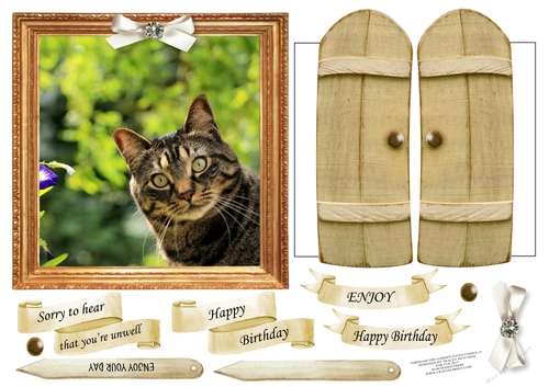 6x6 THROUGH THE GARDEN GATES TABBY CAT MULTI USE GET WELL BIRTHDAY ETC 6x6 UNISEX 13