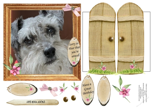 THROUGH GARDEN GATES  MULTI USE GET WELL BIRTHDAY ETC 6x6 SCHNAUZER