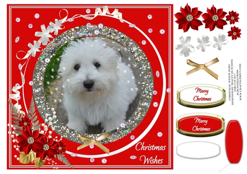 CHRISTMAS SELECTION WESTIE BABY