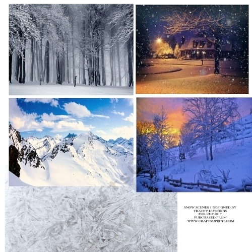 SNOW SCENES ONE