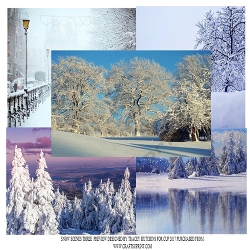 SNOW SCENES THREE