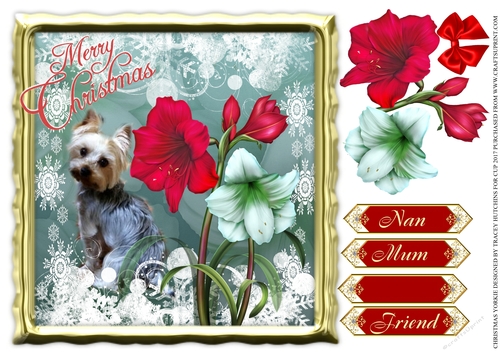 CHRISTMAS YORKIE AND FLOWER MUM NAN FRIEND