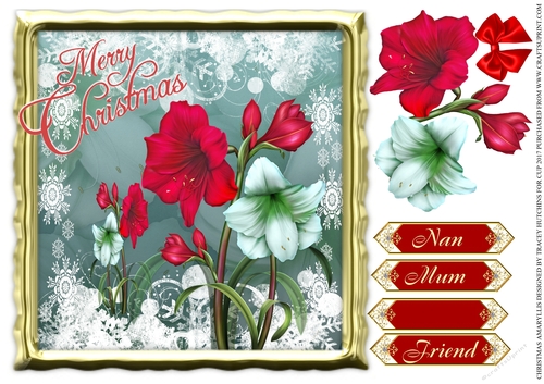 CHRISTMAS AMARYLLIS MUM NAN FRIEND