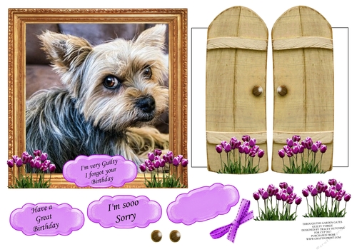 THROUGH GARDEN GATES  MULTI USE  6x6 GUILTY YORKIE