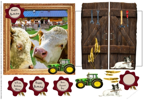 THROUGH THE BARN DOORS  MULTI USE 6x6 FIRST PRIZE FARMER