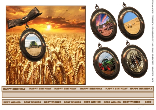 REAP THE SEED HARVEST 6x6 WITH MULTI SENTIMENT RIBBONS