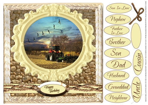 MALE RELATIVES MULTI SENTIMENT LOTS OF CATEGORIES 4 FARM