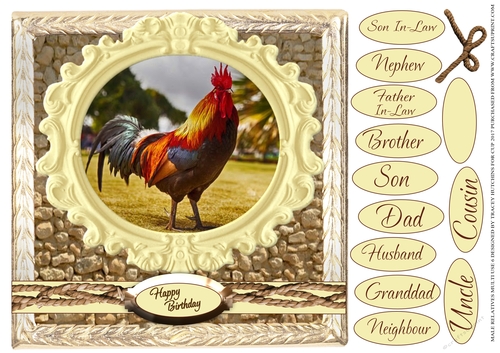 MALE RELATIVES MULTI SENTIMENT LOTS OF CATEGORIES 6 COCKEREL