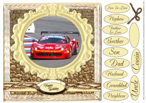 MALE RELATIVES MULTI SENTIMENT LOTS OF CATEGORIES 8 FORMULA ONE