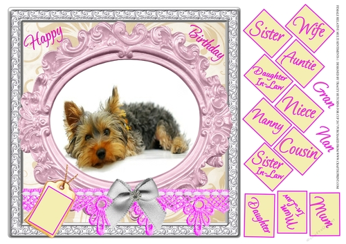 FEMALE RELATIVES 51 YORKIE 