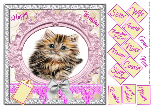 FEMALE RELATIVES 37 KITTEN