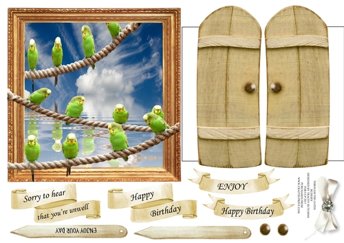 THROUGH THE GATES  MULTI USE UNISEX 6x6 BUDGIES