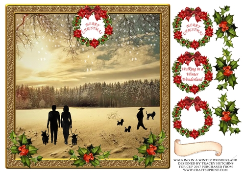 WALKING IN A WINTER WONDERLAND COUPLE WALKING DOGS