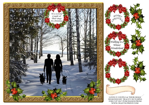 LOVELY COUPLE & THEIR DOGS AT CHRISTMAS WALKING THE DOGS 
