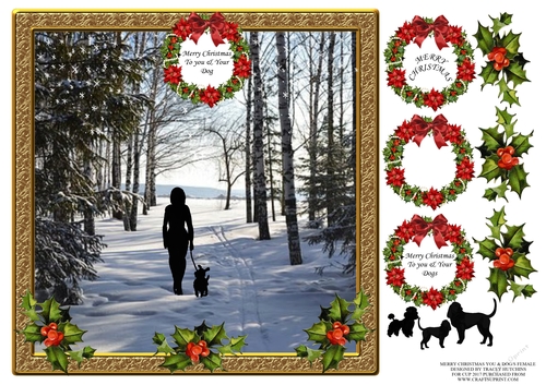 MERRY CHRISTMAS TO YOU AND YOUR DOG/S FEMALE