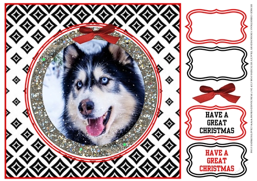 HUSKY CHRISTMAS 3