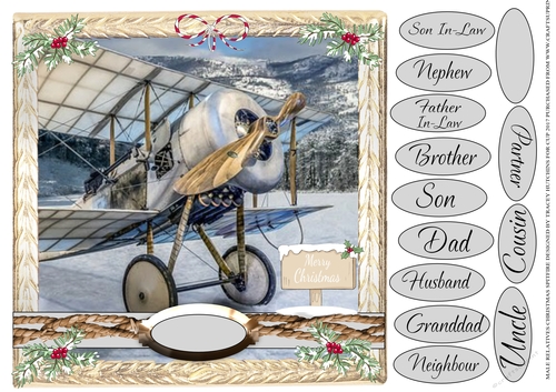 MALE RELATIVES CHRISTMAS SPITFIRE