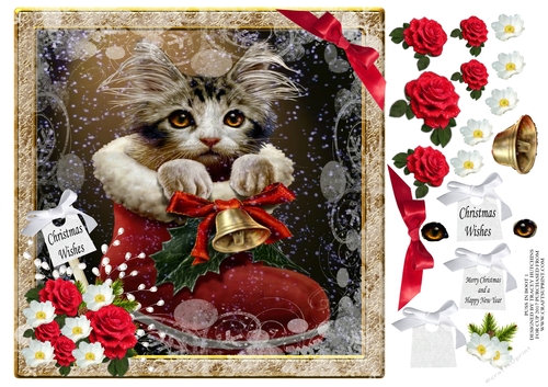 CHRISTMAS PUSS IN BOOT 1 (SUPER CUTE)