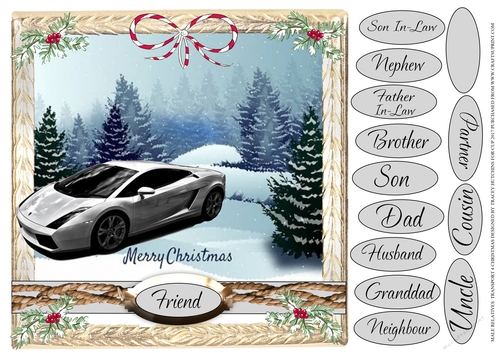 MALE RELATIVES CHRISTMAS SPORTS CAR