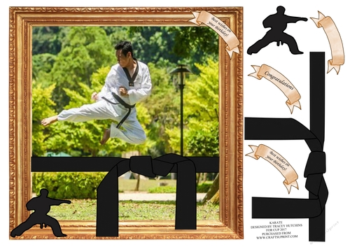 KARATE BIRTHDAY AND OTHER SENTIMENTS
