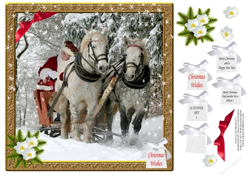 SANTA,S ON HIS WAY IN HIS SLEIGH 2