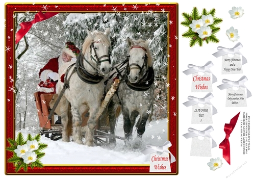 SANTA,S ON HIS WAY IN HIS SLEIGH 3