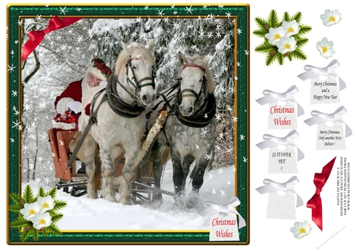 SANTA,S ON HIS WAY IN HIS SLEIGH 4