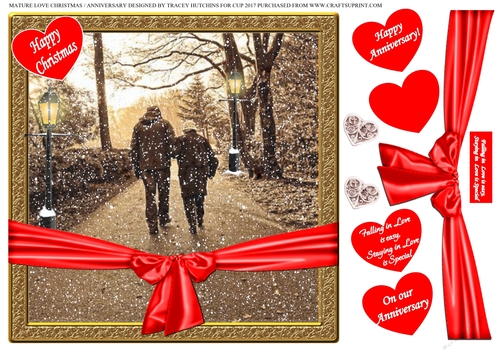 MATURE LOVE CHRISTMAS / ANNIVERSARY