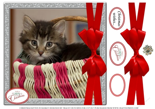 CHRISTMAS KITTEN IN A BASKET