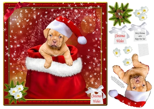SANTAS LITTLE HELPER 3
