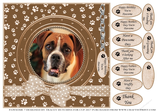 BOXER THANK YOU AND VARIOUS OTHER SENTIMENTS