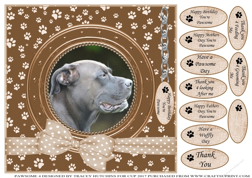 BLUE  STAFFY THANK YOU AND VARIOUS OTHER SENTIMENTS