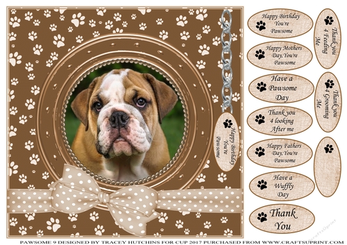 BULL DOG THANK YOU AND VARIOUS OTHER SENTIMENTS