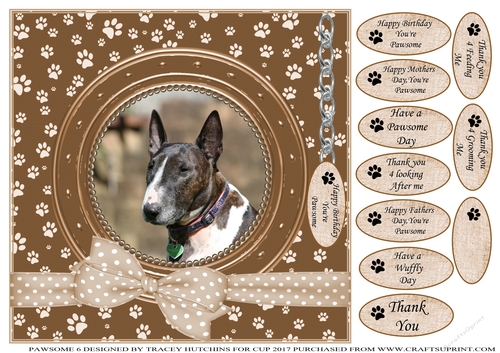 BULL TERRIER THANK YOU AND VARIOUS OTHER SENTIMENTS