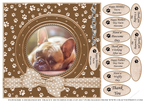 FRENCH BULLDOG TERRIER THANK YOU AND VARIOUS OTHER SENTIMENTS