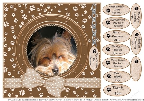 YORKIE TERRIER THANK YOU AND VARIOUS OTHER SENTIMENTS